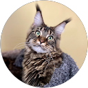 Holly Rudolf profile picture