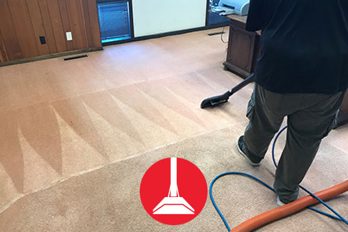 We are deep cleaning a very dirty carpet and show how well Dave does when cleaning carpet